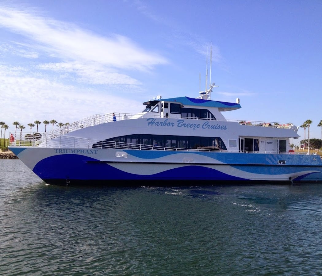 Guided Whale Watching Tour 2