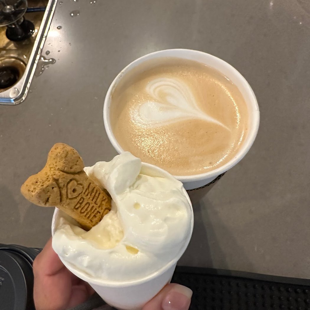 The Clubhouse Cafe 1