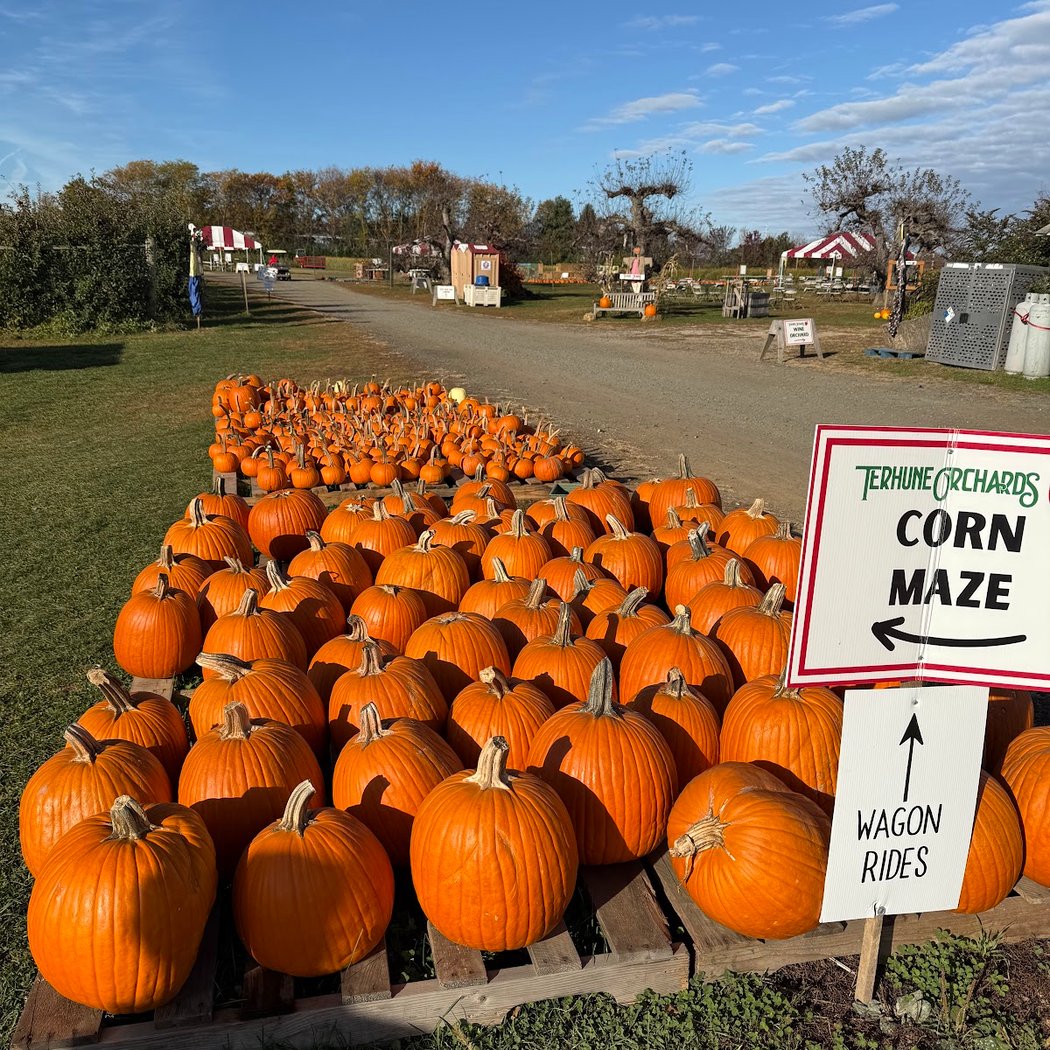 Fall Family Fun Weekends