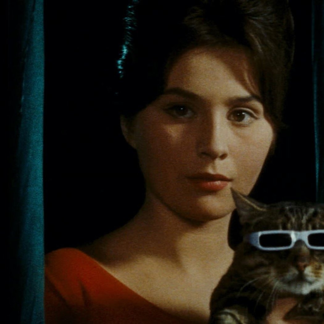 Fantastical Felines 1