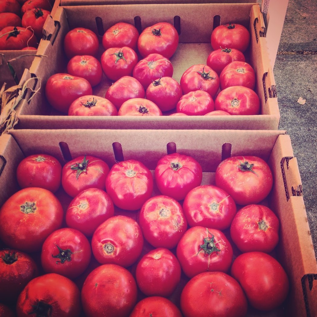 Sonoma Valley Certified Farmers Market 3