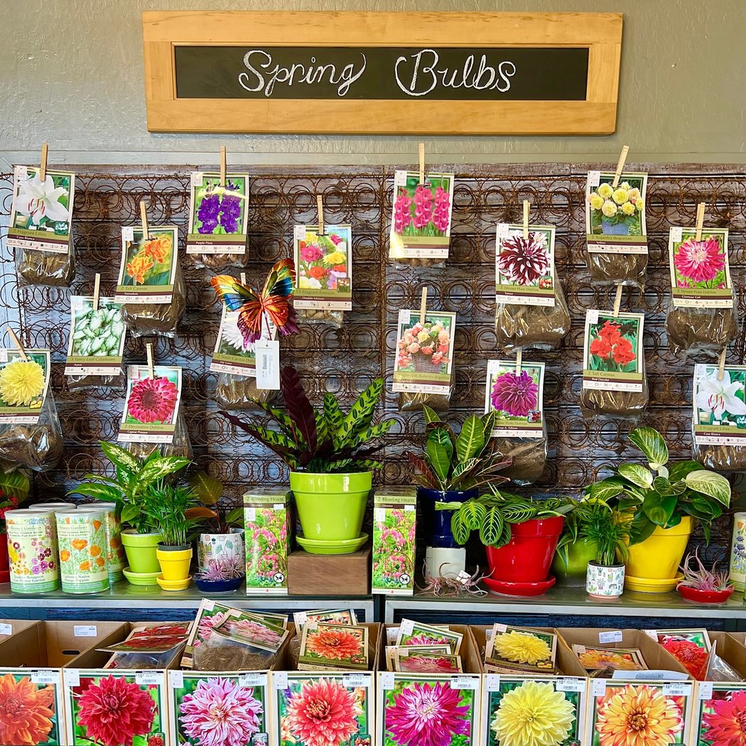 Evergreen Nursery 3