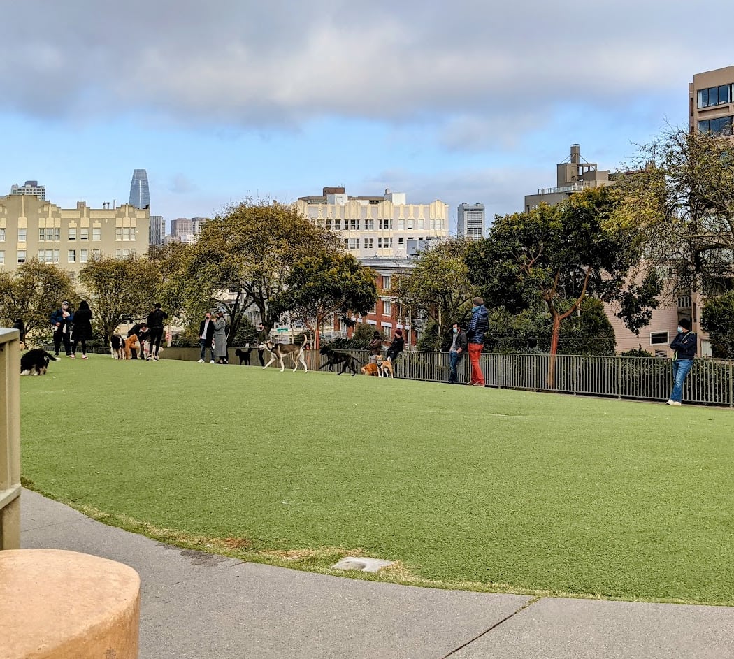 Lafayette Park Dog Play Area 2