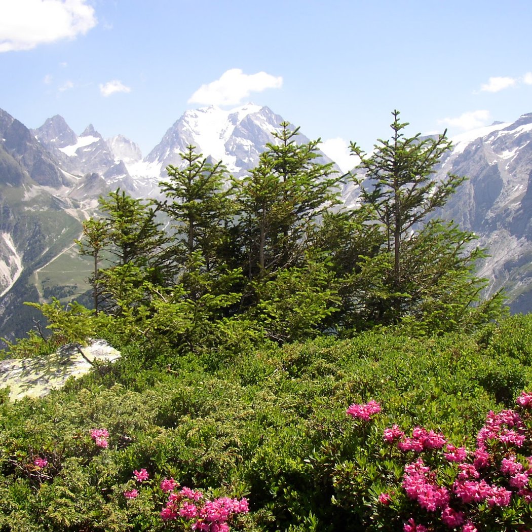 Col de Napremont 1
