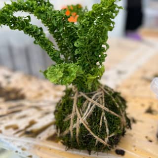 Kokedama Class 2