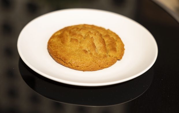 Justice of the Pies 3