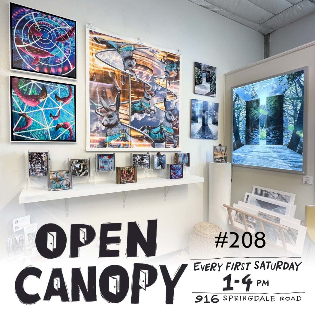 Open Canopy 1