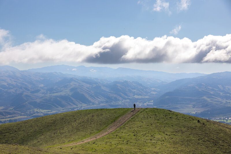 Sunol Ridge Trail 1