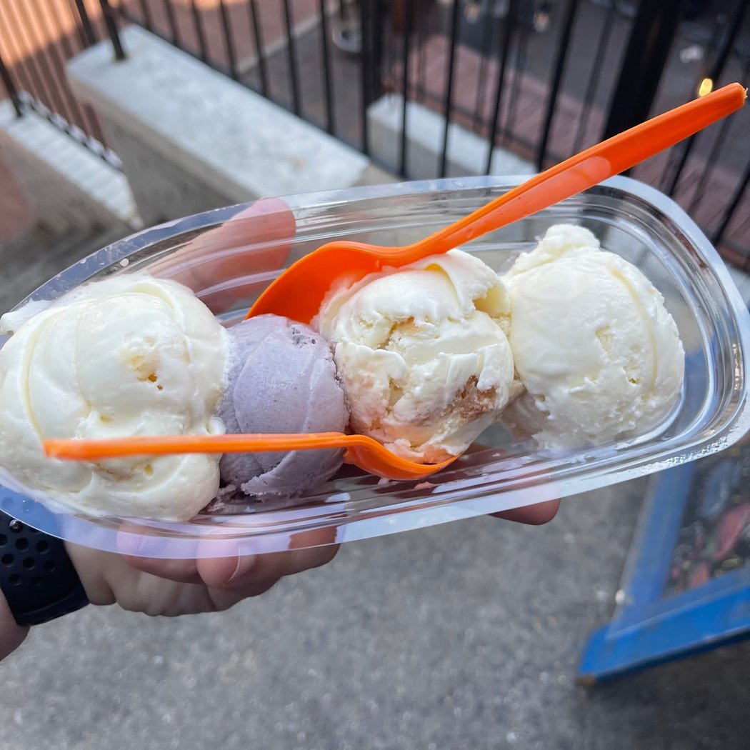 Mount Desert Island Ice Cream 3