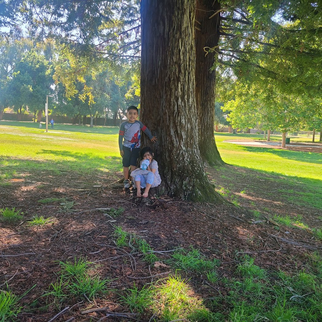 Wallenberg Park 3