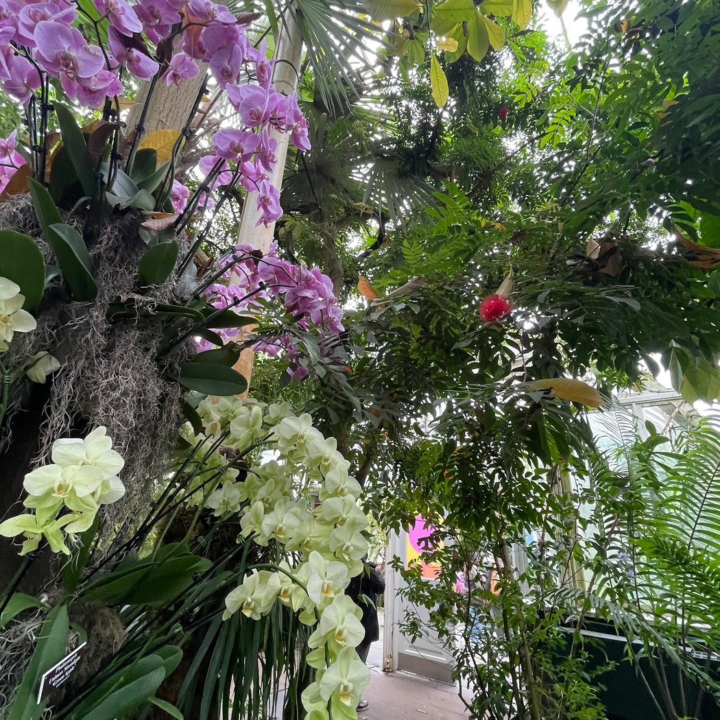 Enid A. Haupt Conservatory, NYBG 2