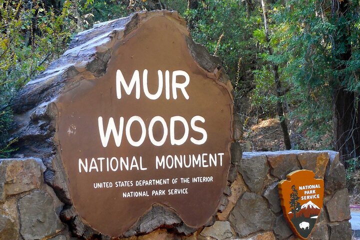 Big Bus San Francisco: Guided Muir Woods Tour 3