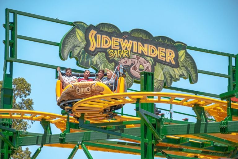 Sidewinder Safari 1