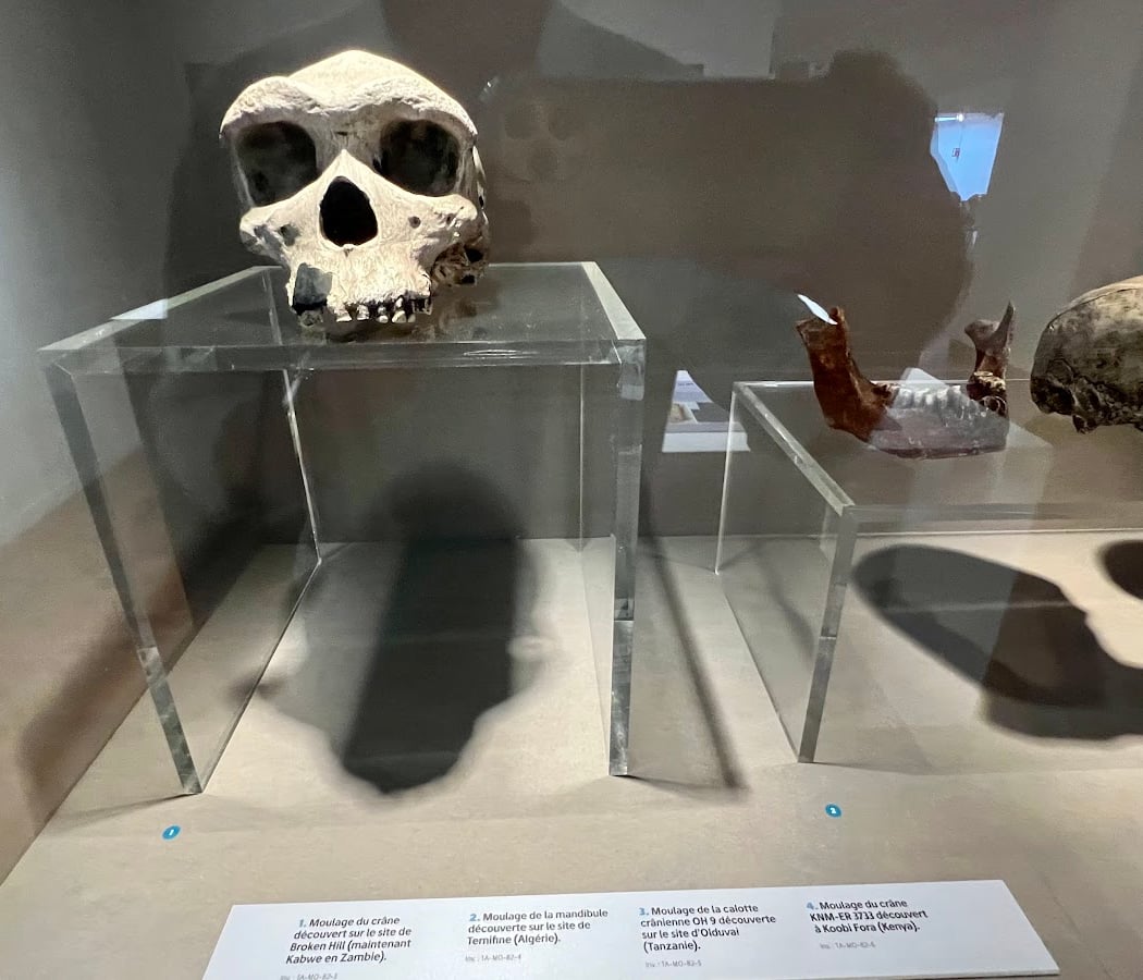 Musée de Préhistoire de Terra Amata 1