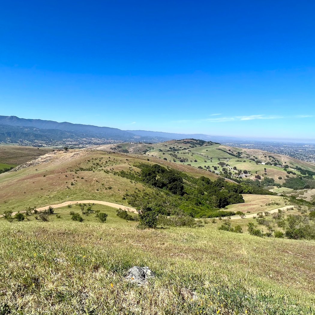 Santa Teresa County Park Wildflower Viewing 2