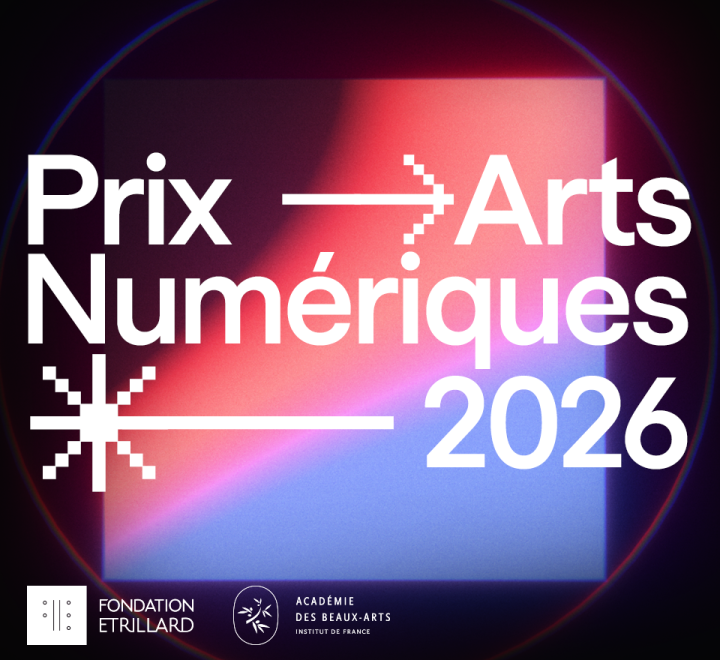Prix Arts numériques Fondation Etrillard 1