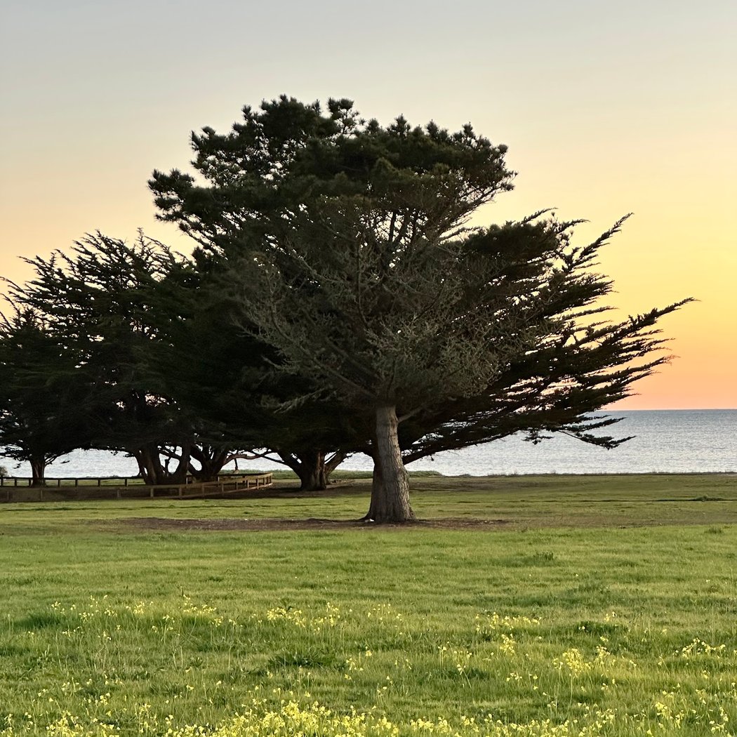 Picnic ground near Half Moon bay 3