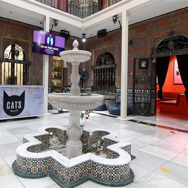 Cats Hostel Madrid Sol 2