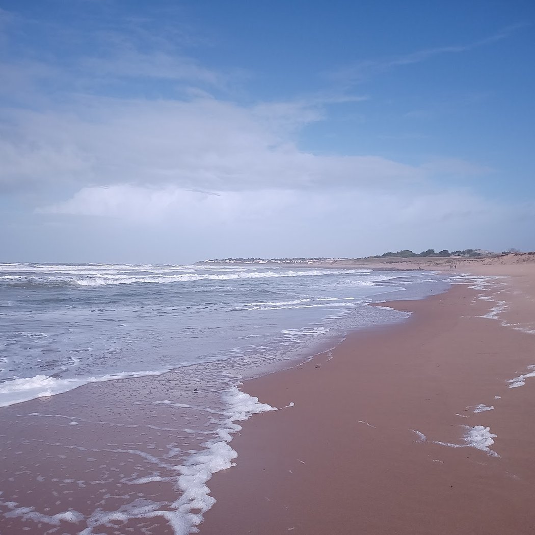 Plage des Dunes 4