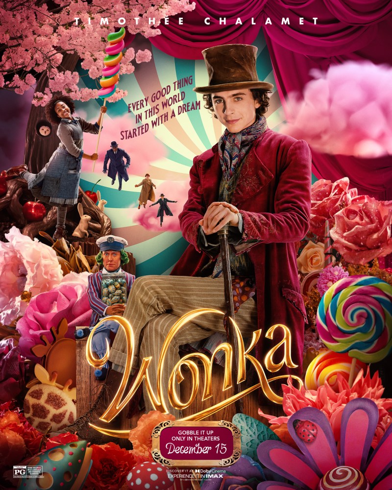 Cinéma en plein air : Wonka 1
