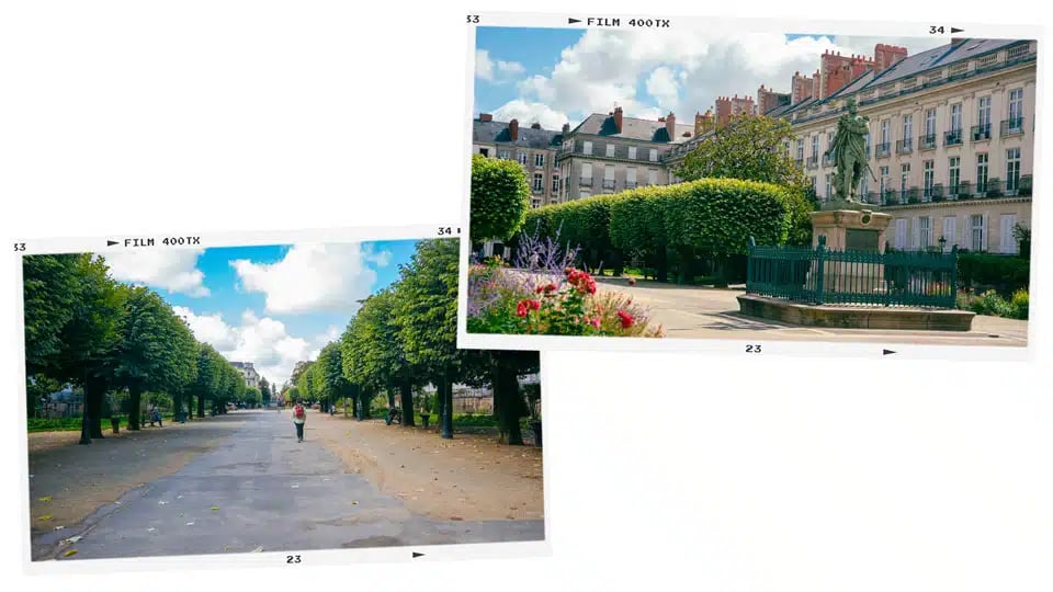 Cours Cambronne 2
