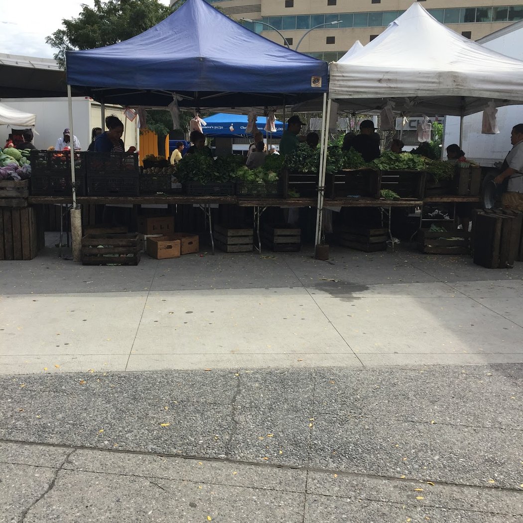 Bronx Night Market 2
