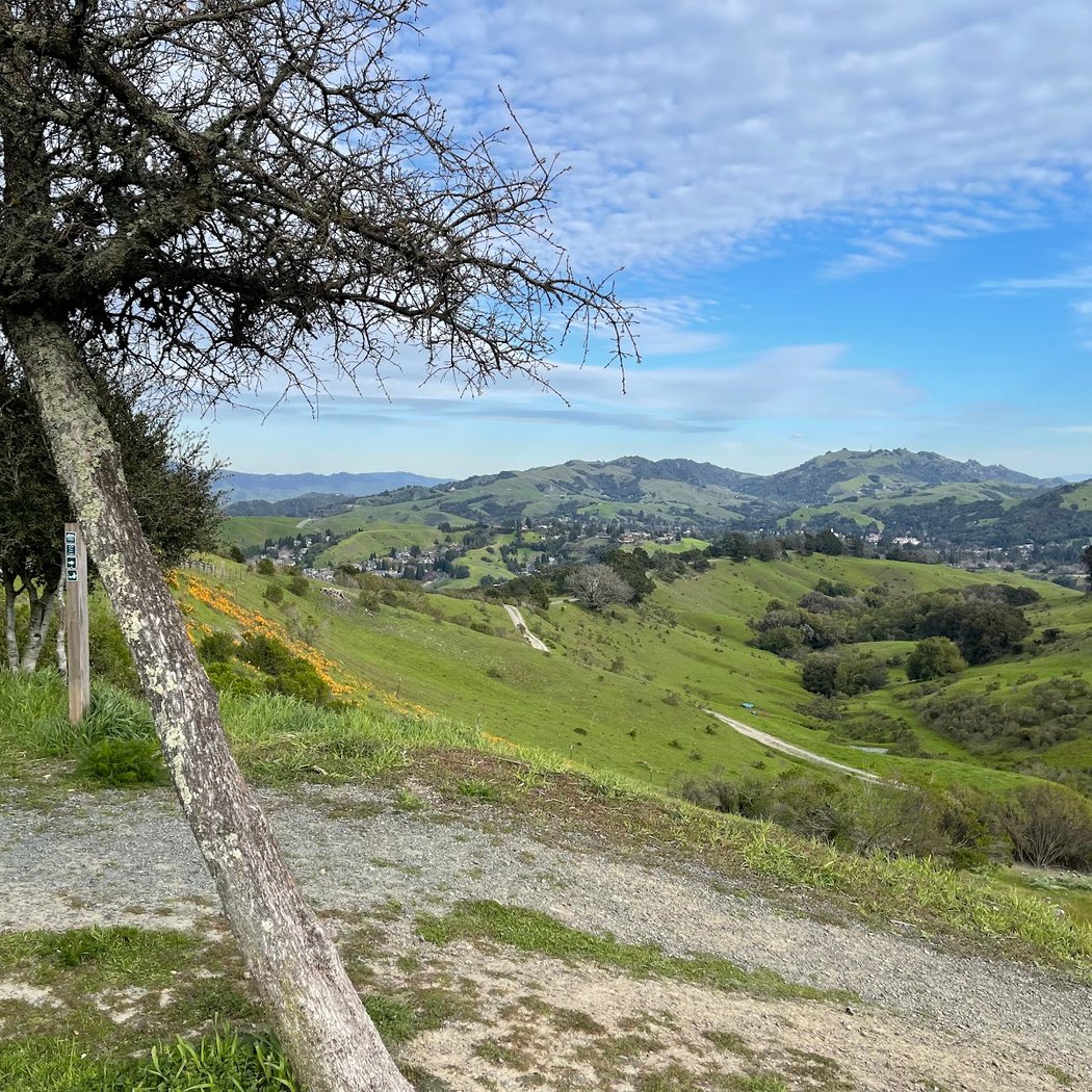 Mulholland Ridge Open Space 1