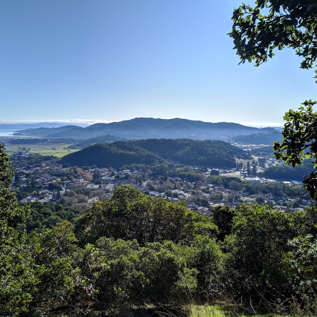 Marinwood Open Space 2