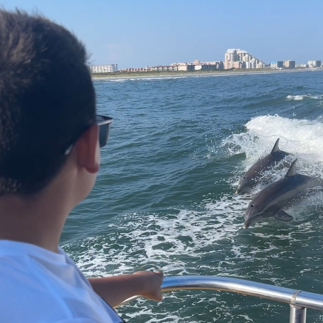 Thunder Cat Dolphin Watch & Speedboat Tours 3
