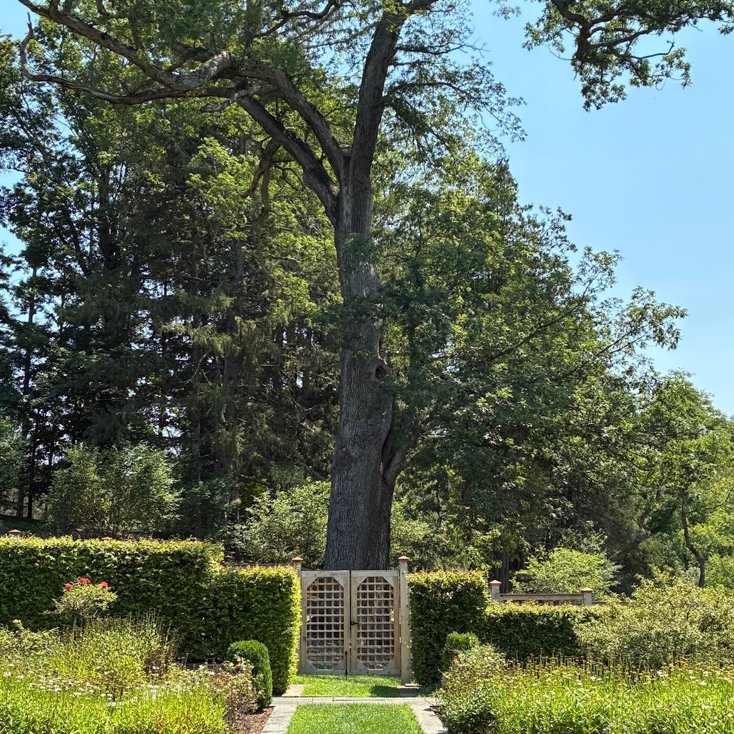 Shakespeare Garden at Vassar College 1