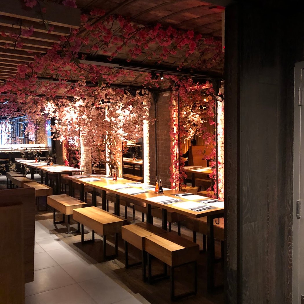 wagamama, nomad, new york 3