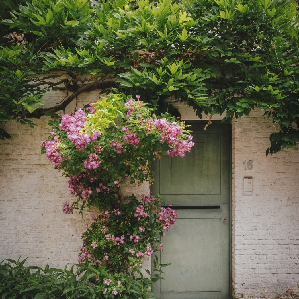 Great Beguinage 2
