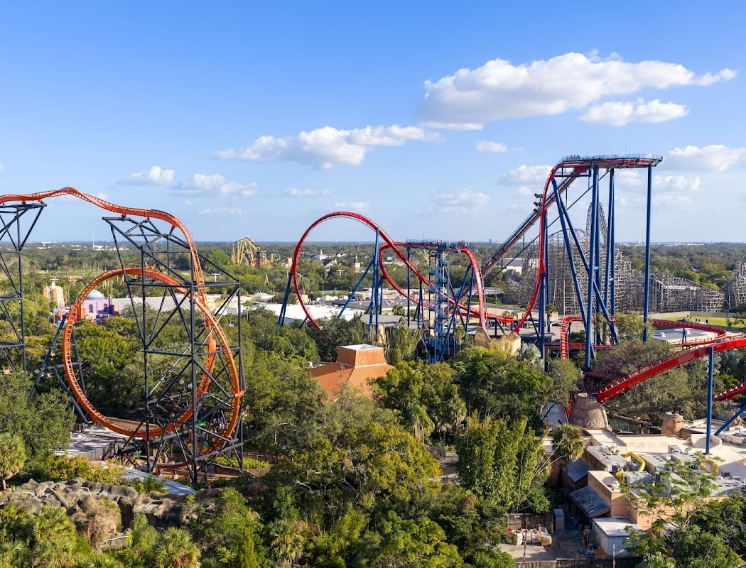 Busch Gardens Tampa Bay 3