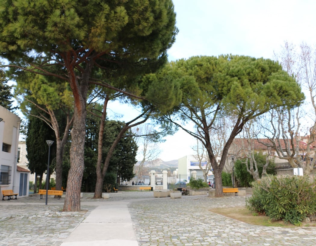 Barasse Garden 1