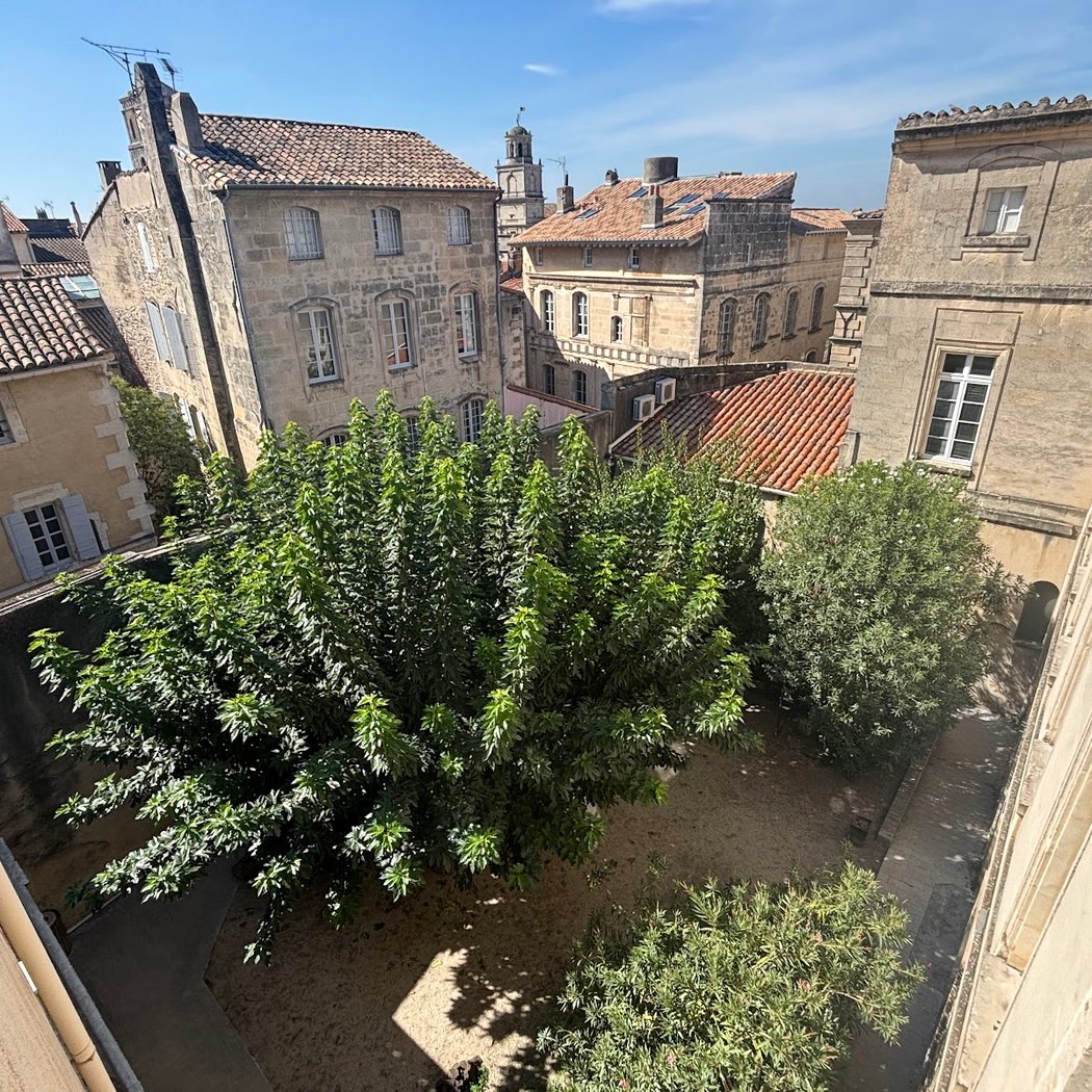 Hôtel Quiqueran de Beaujeu 2