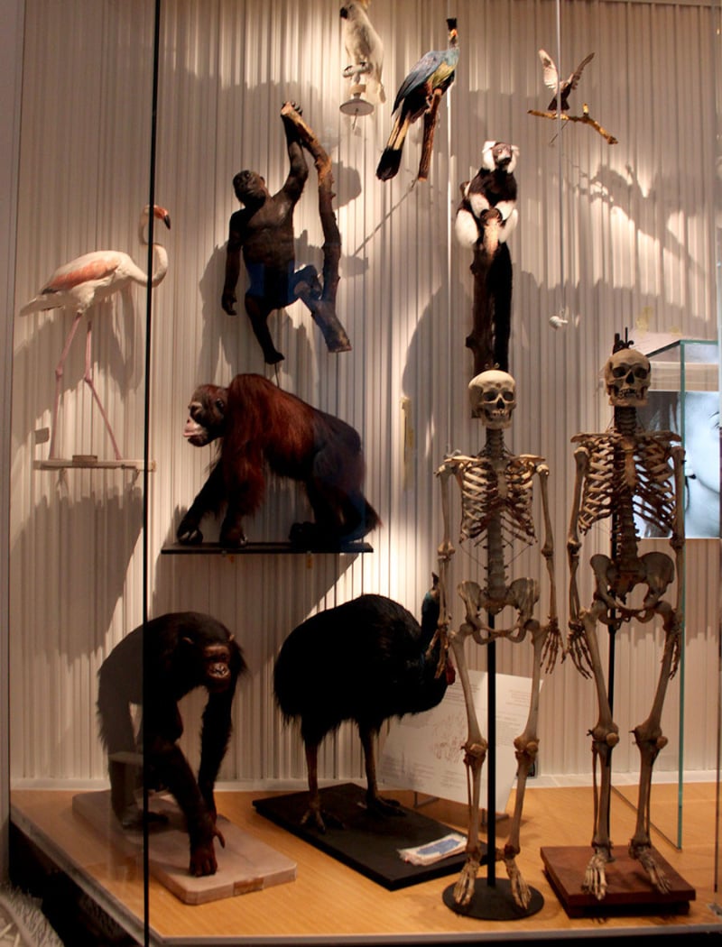 Nuit des Musées 2026 2