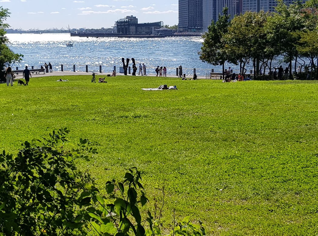 Harbor View Lawn 2