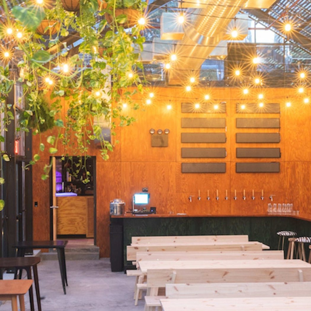 Evil Twin Brewing NYC 5
