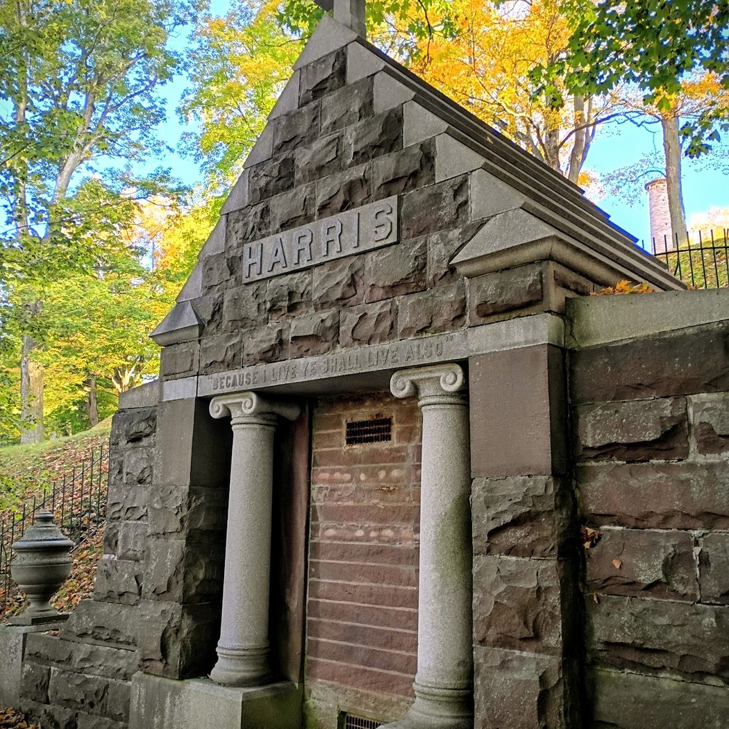 Mount Albion Cemetery 3