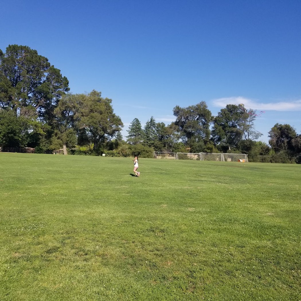 Rosita Park 2