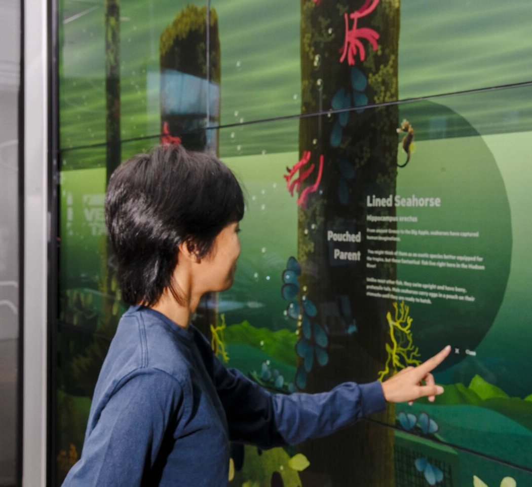 Guided Gallery 1