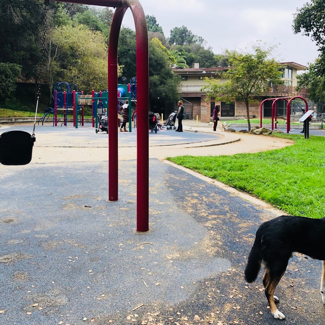 Dimond Park Playground 2