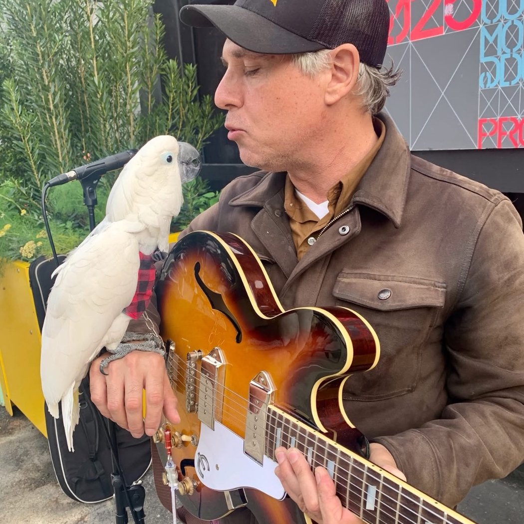 Live Music: Dave Ricketts 1