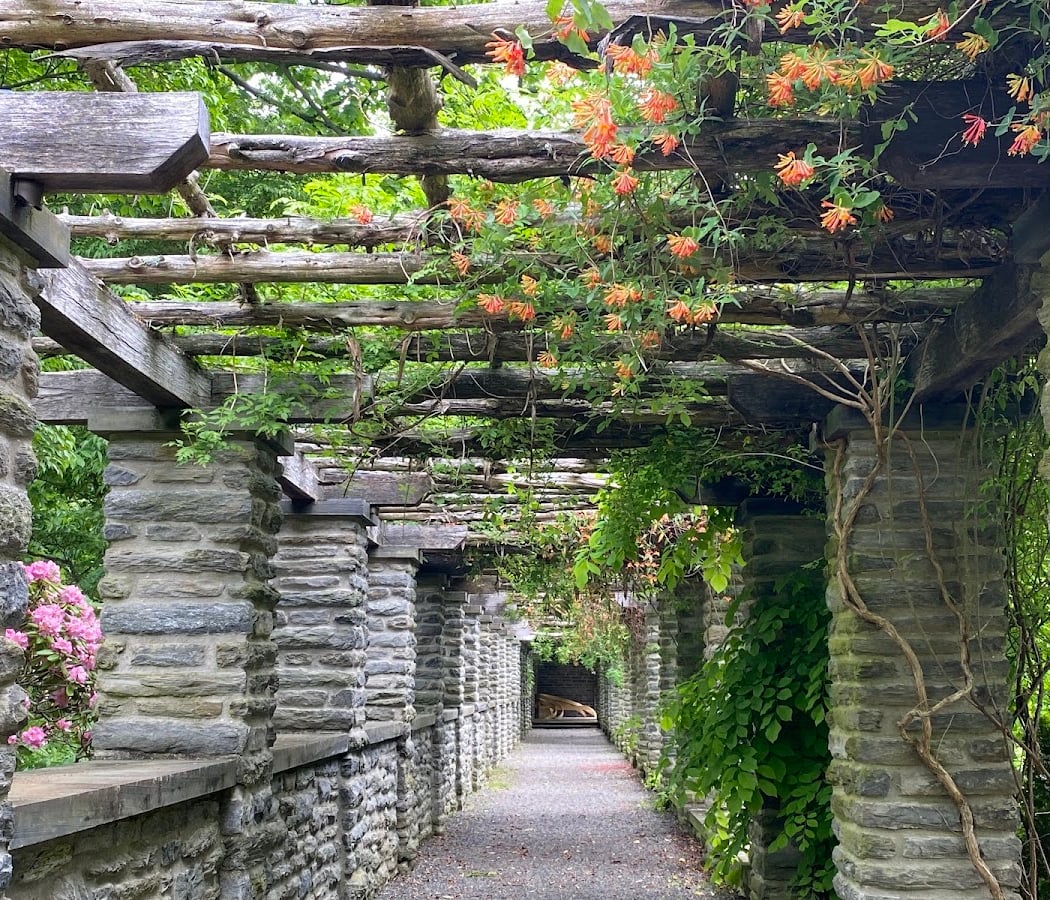 Stoneleigh: a natural garden 1