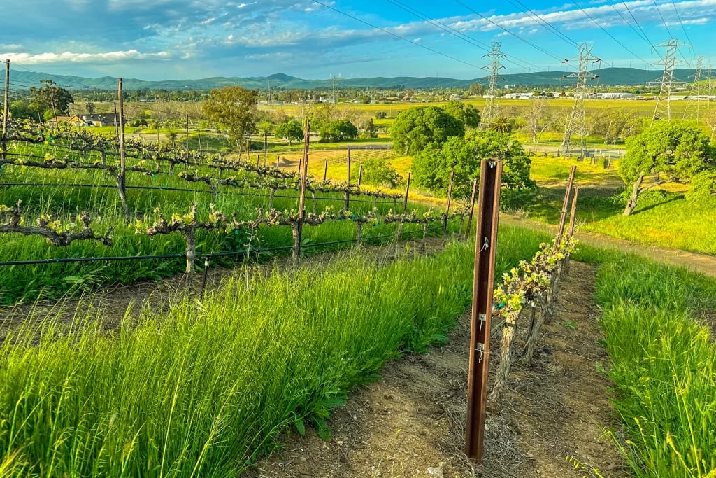Murrieta's Well 3