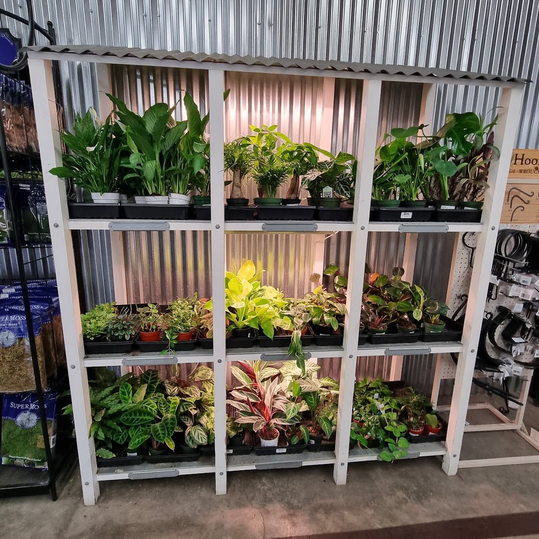 SummerWinds Nursery 1
