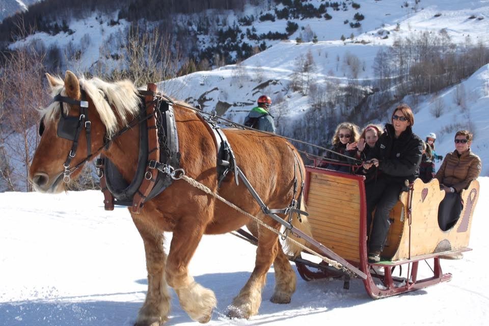 Promenade en traineau a cheval 2 alpes 1