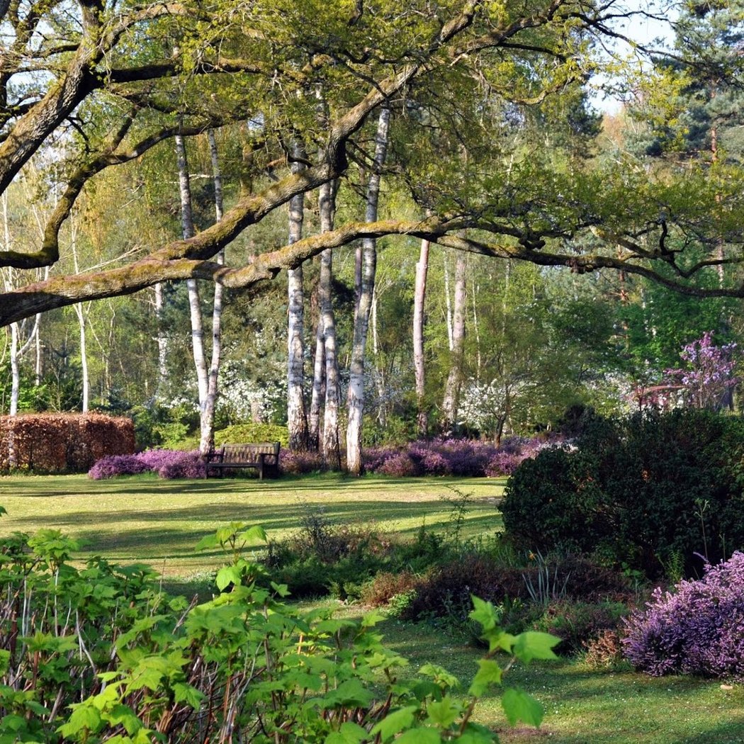 Arboretum des Grandes Bruyères 2