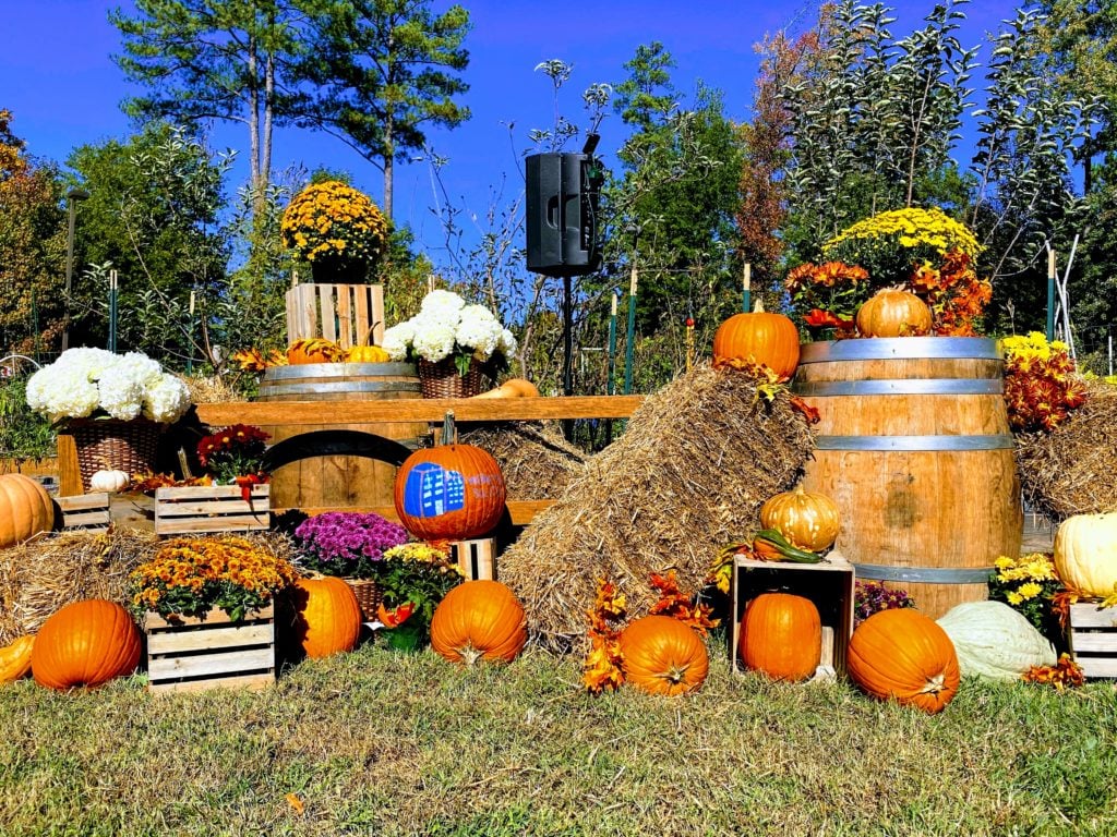 Fall Festival 3