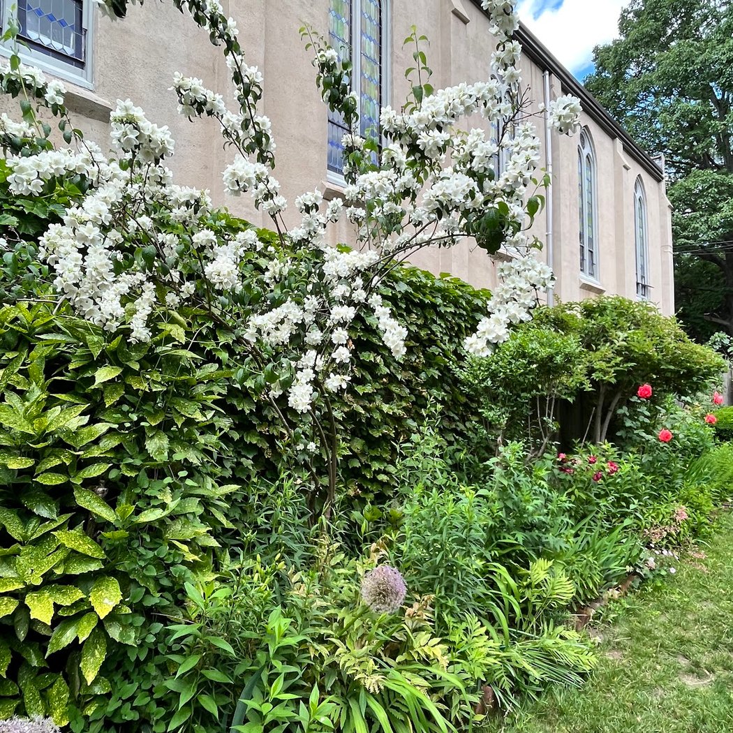 The Secret Garden Brooklyn 3